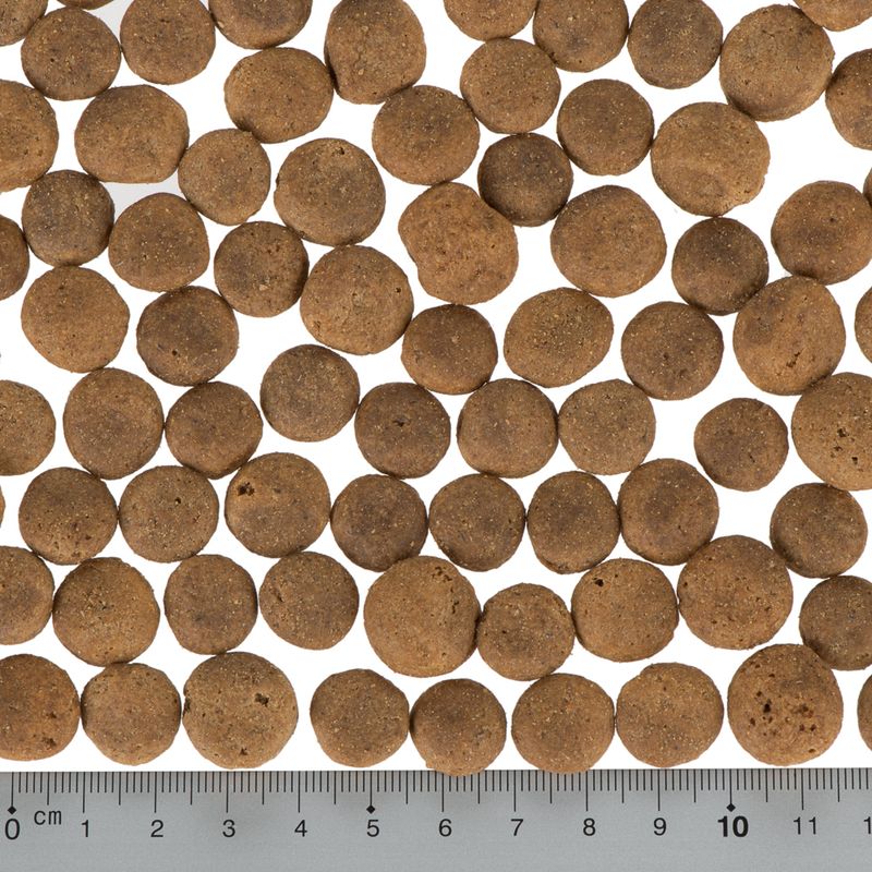 Little Wolf of Wilderness Junior Mixed Trial Pack 2 x 1kg