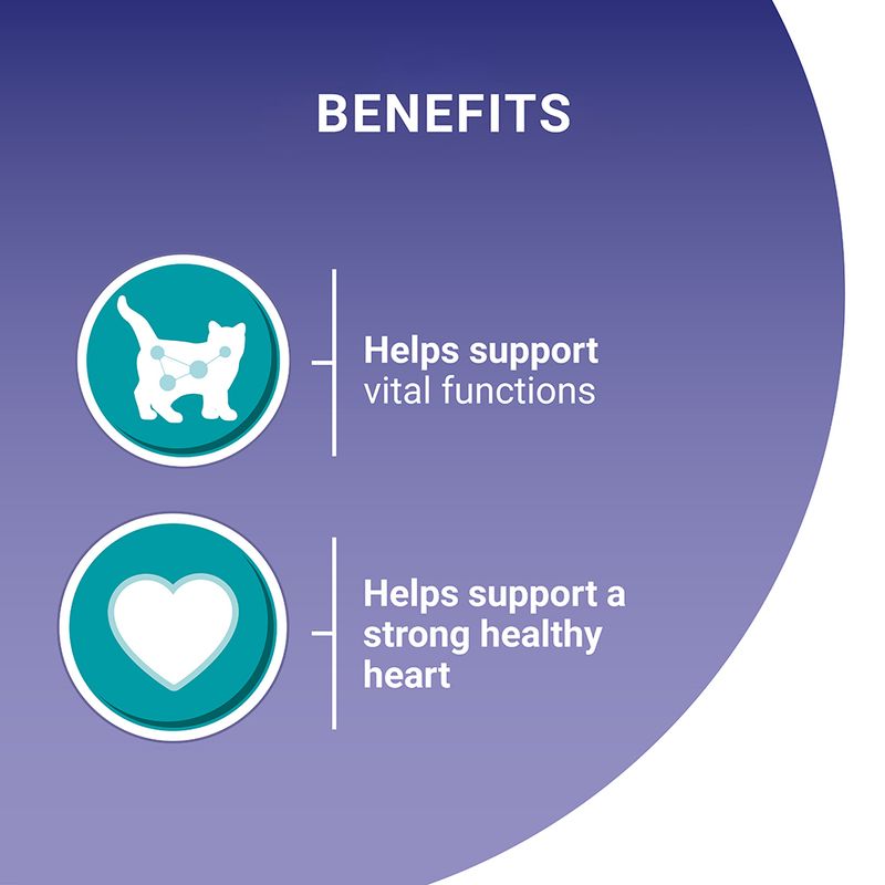 PURINA ONE Senior 7+ with Chicken & Green Beans (26 x 85g)