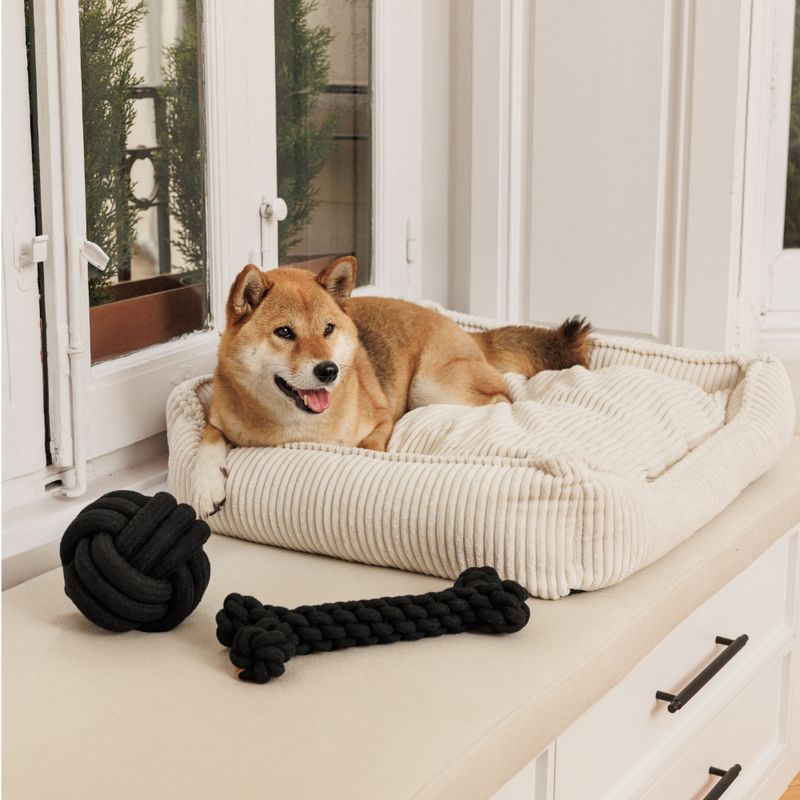 Modern Living Papua Rope Bone 30cm (L)