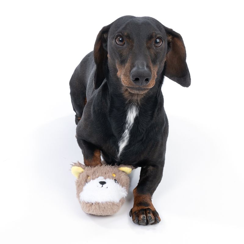 TIAKI Rabbit Slipper Dog Toy 1 Toy