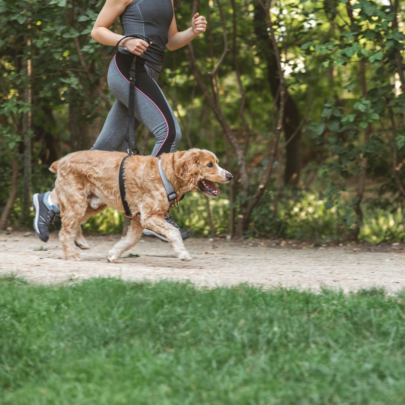 Nomad Tales Spirit Multifunctional Lead 206 - 270 cm long, 20mm wide