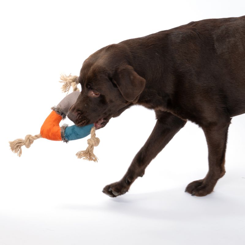 TIAKI Three-Sided Plush Rope 17cm (Diameter)