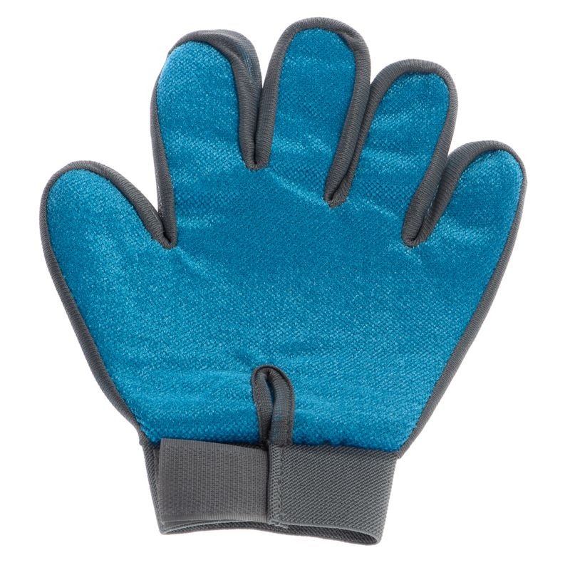 Grooming Glove 1 Glove