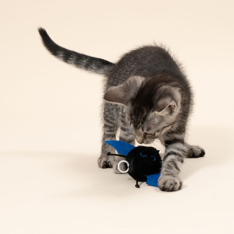 TIAKI Vibrating Bat with Retracting Pull String Cat Toy 1 Toy