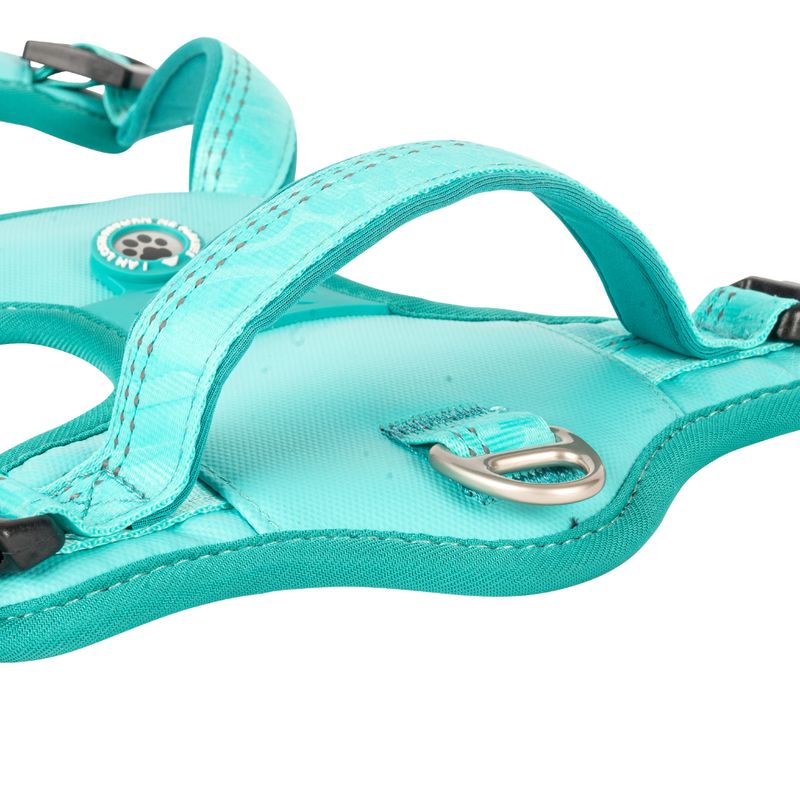 Max & Molly Sports Harness Matrix 2.0 - Turquoise Size S: 44 - 55cm Chest Circumference