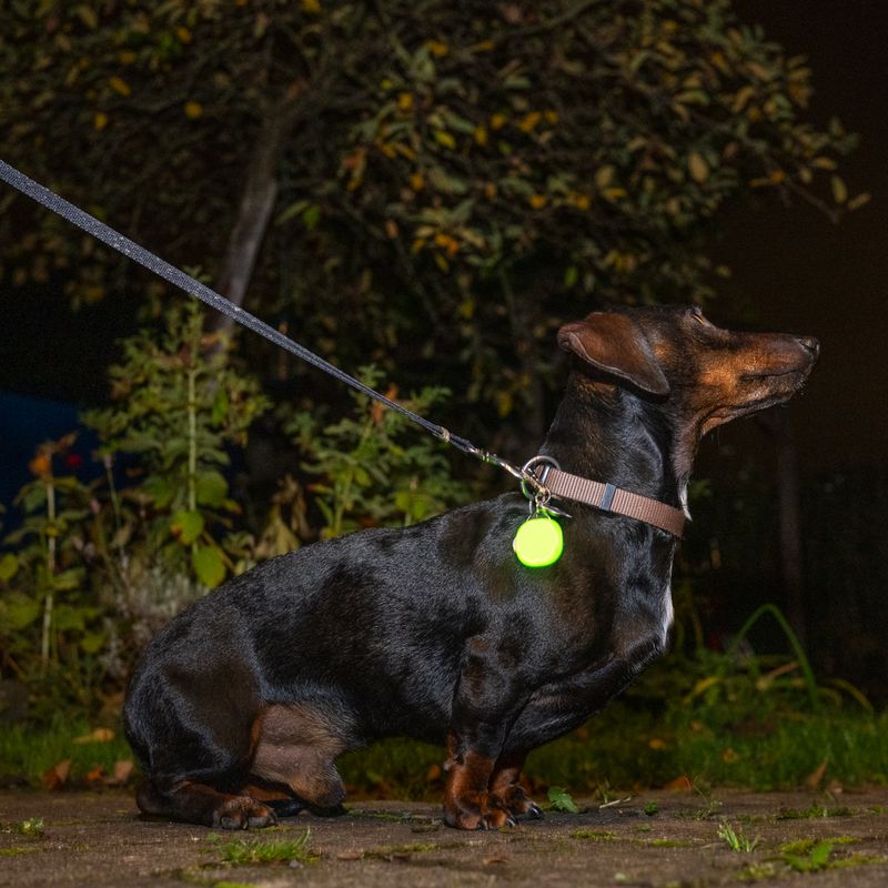 TIAKI Northern lights Illuminated Pendant Orange