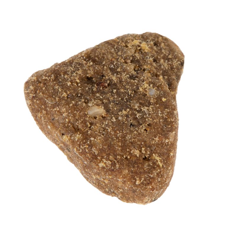 Wolf of Wilderness \