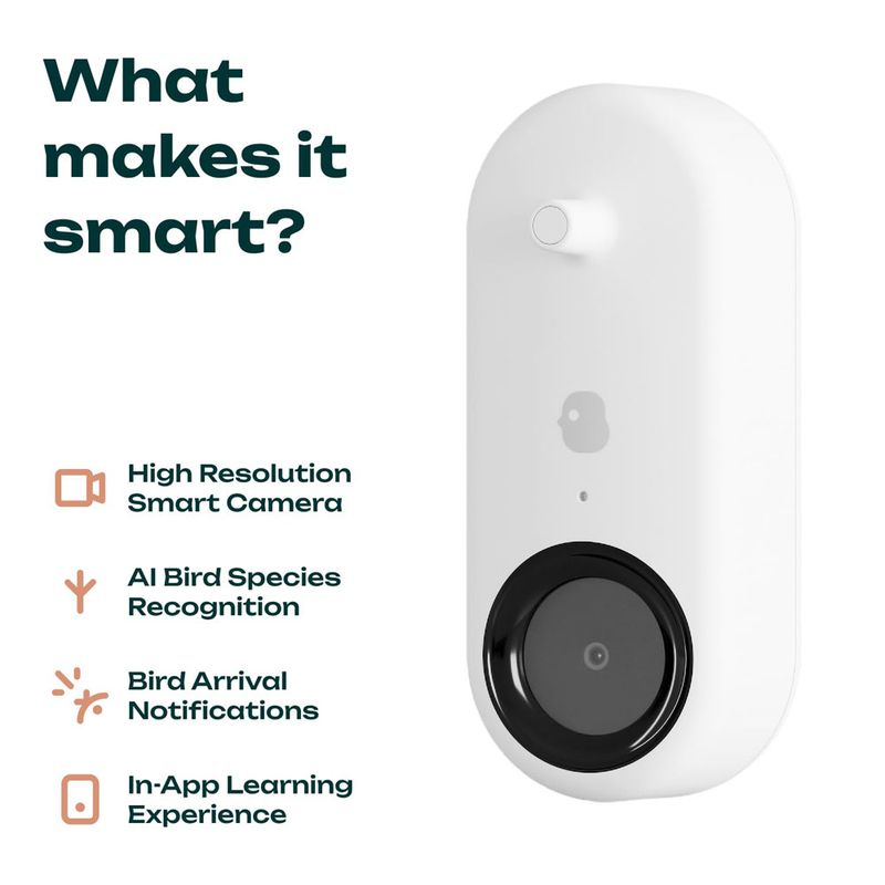 Bird Buddy Smart Bird Feeder with Solar Roof 16 x 17.5 x 23cm (L x W x H)