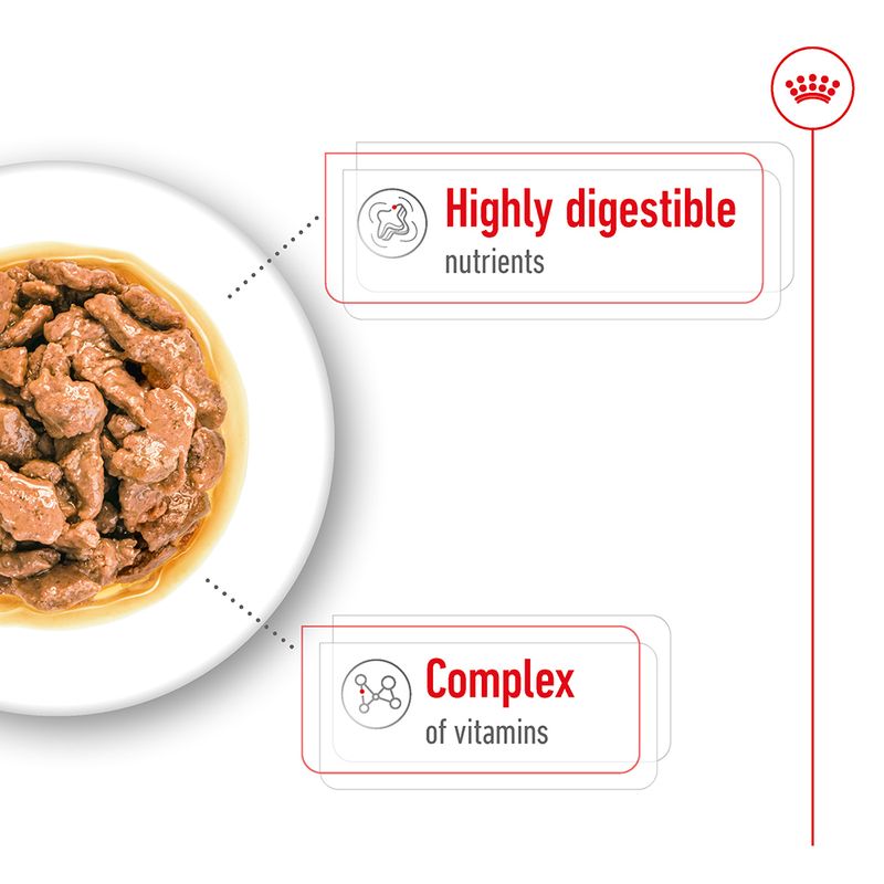 Royal Canin Mini Adult in Gravy 12 x 85g