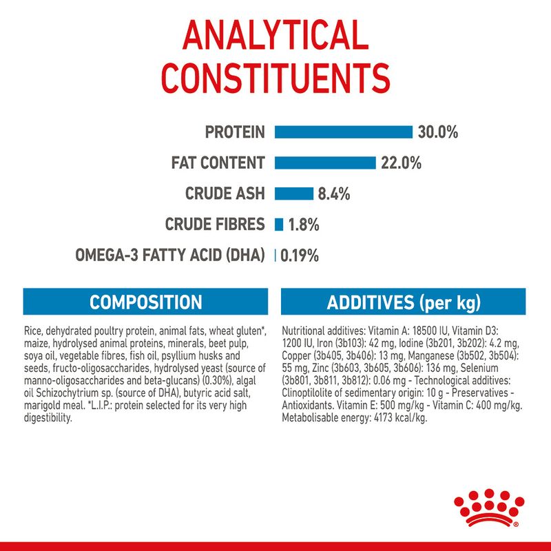 Royal Canin Maxi Starter Mother & Babydog 4kg