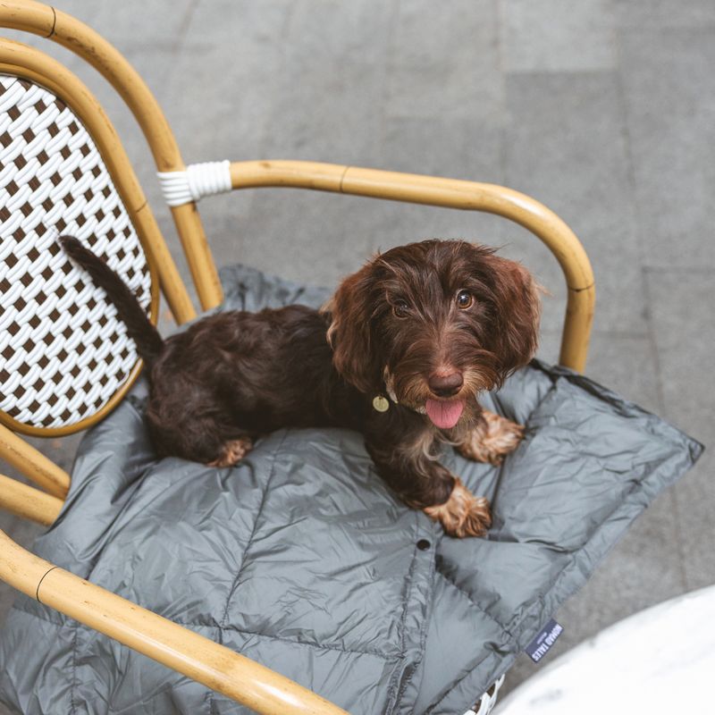 Nomad Tales Spirit Scallion Outdoor Dog Mat 137 x 80 cm (L x W)