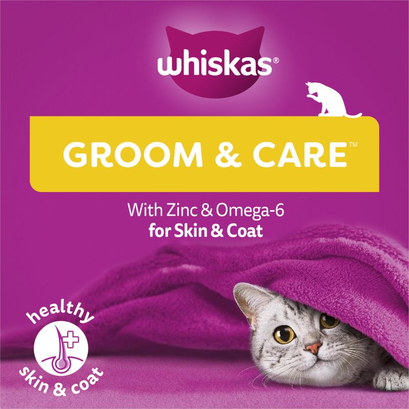 Whiskas Snacks Groom & Care Chicken (45g)
