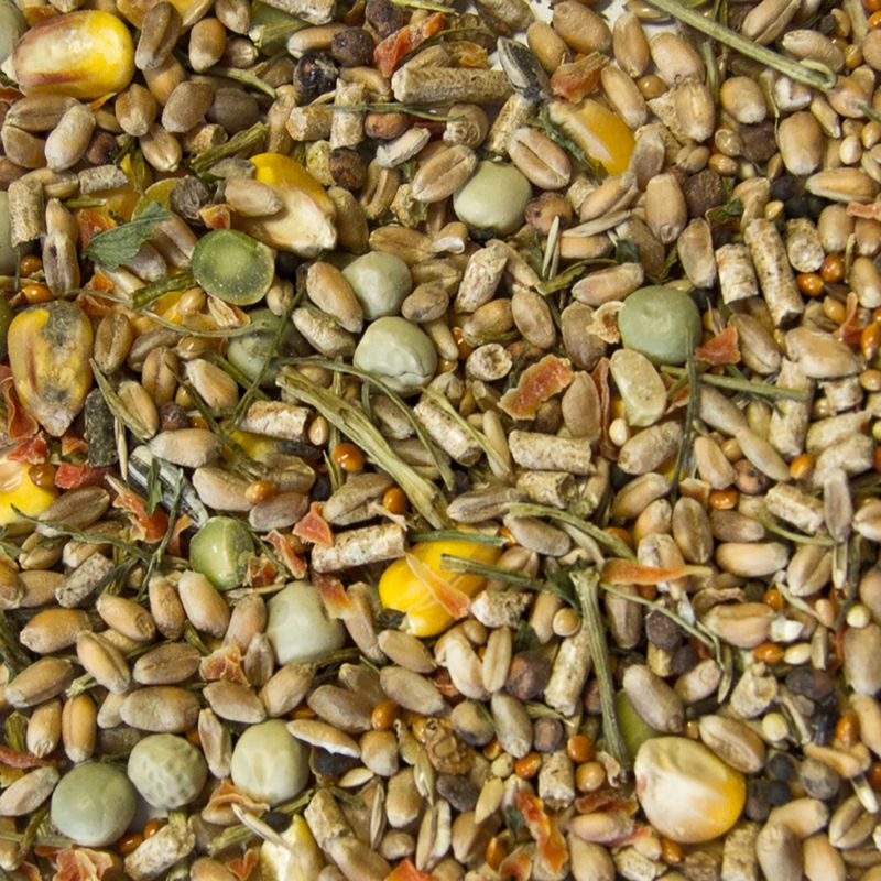 Mucki Menu Dwarf Hamster Multi Mix 1.5kg