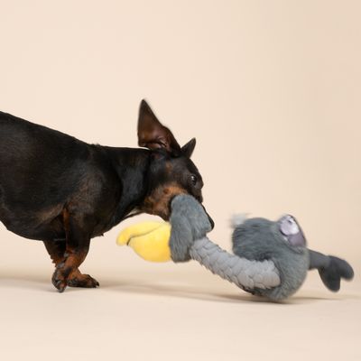 TIAKI Dodo Strong Neck Plush Toy 36 x 21 cm (L x W)