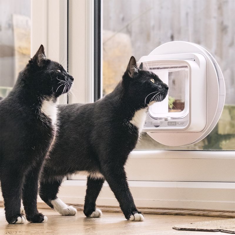 SureFlap Microchip Cat Flap Connect SureFlap Microchip Cat Flap – White (requires SureFlap Hub)