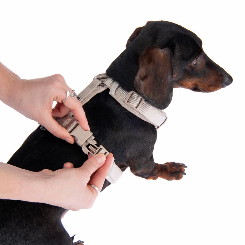 Nomad Tales Blush Harness - Taupe Size XS: 34-49cm Chest Measurement