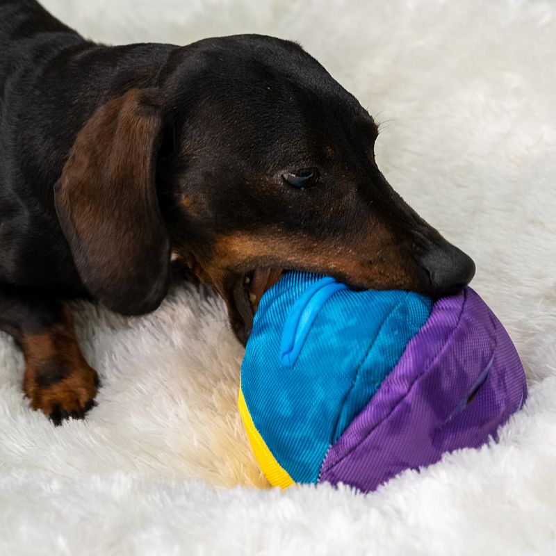 TIAKI Rainbow Snack Ball 13cm (Diameter)