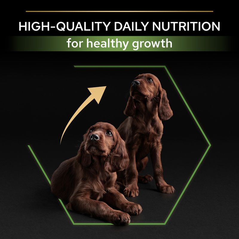 PURINA PRO PLAN Large Athletic Puppy Healthy Start 3kg