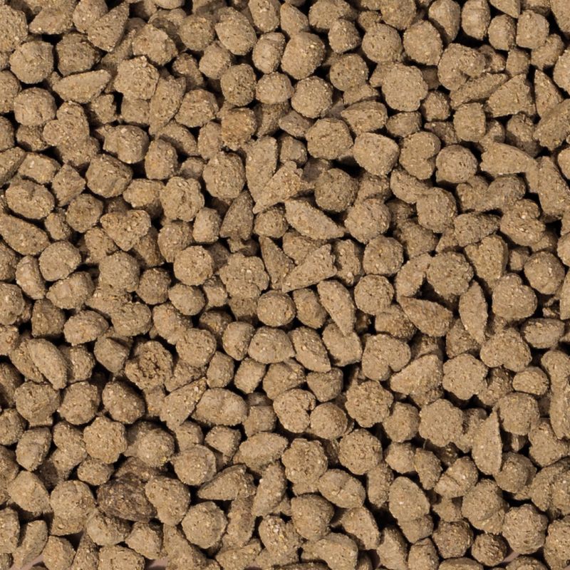 beaphar Care+ Rabbit 5kg