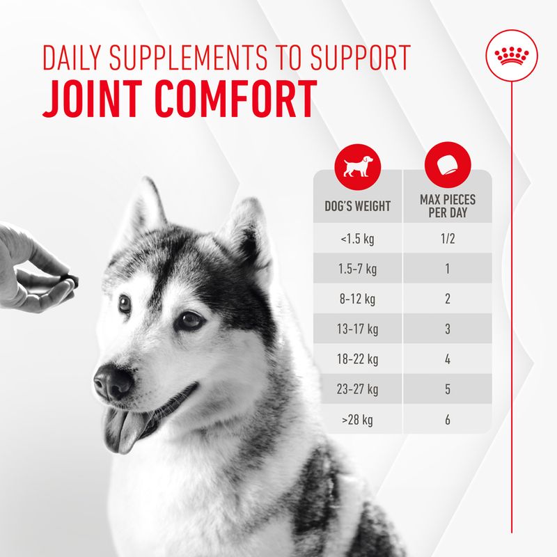 Royal Canin Joint & Ageing Adult Supplement Chews 240g (60 pieces)