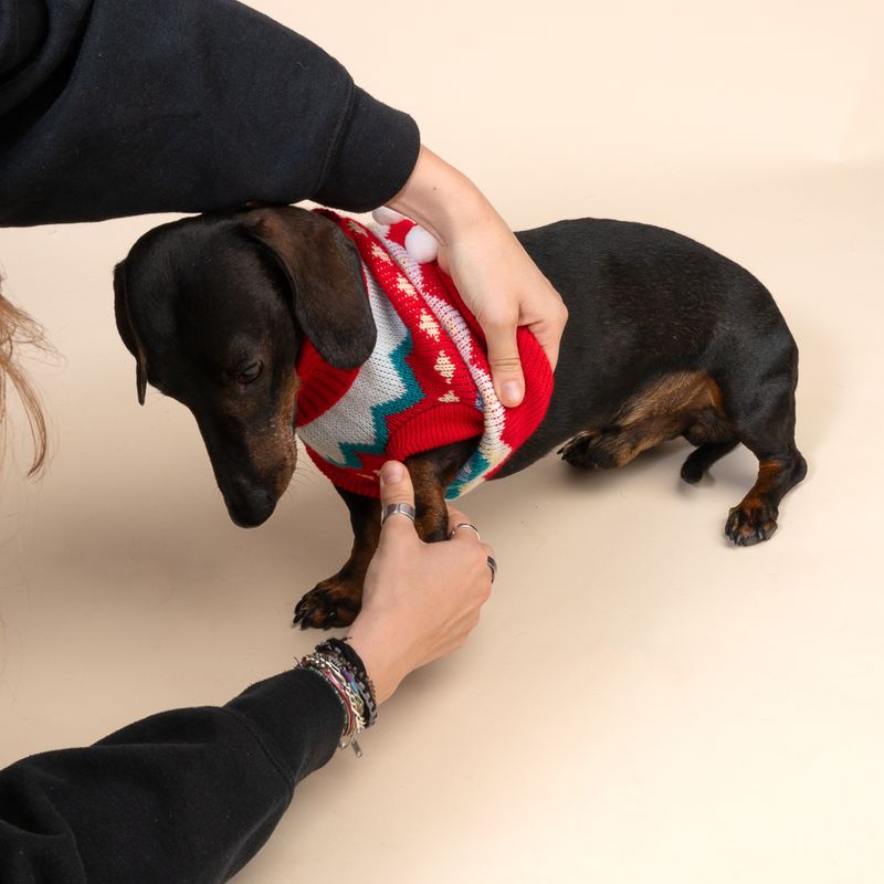 TIAKI Winter Dog Jumper Size M: approx. 30.5cm Back Length