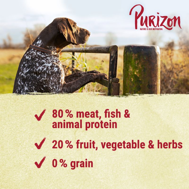Purizon Lamb with Salmon Adult – Grain-free 1kg