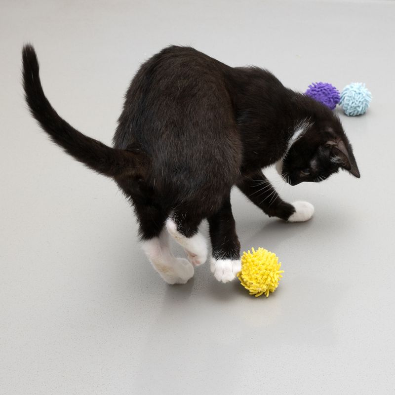 TIAKI Pompom Ball Set with Catnip – 3 Balls