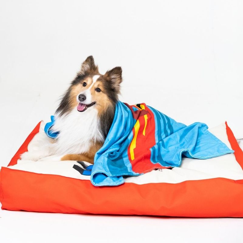 DC Superman Dog Mattress Size S: 80 x 50 x 15 cm (L x W x H)