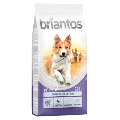 Briantos Adult Active 14kg