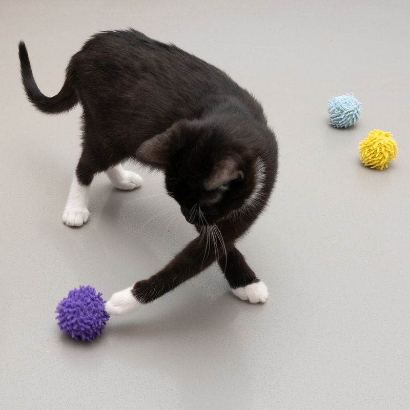 TIAKI Pompom Ball Set with Catnip – 3 Balls
