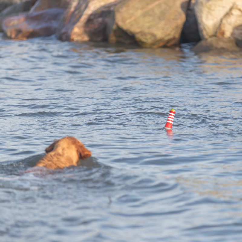 Trixie Lighthouse Water Toy 6 x 20cm (diameter x H)