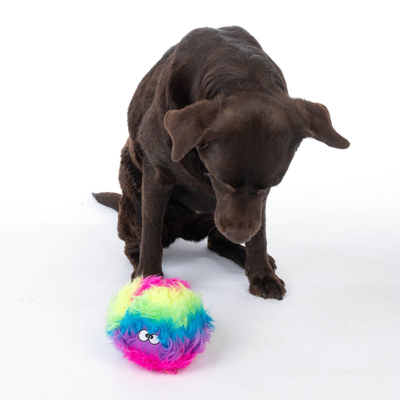 TIAKI Rainbow Squeaky Ball Dog Toy diameter 15cm