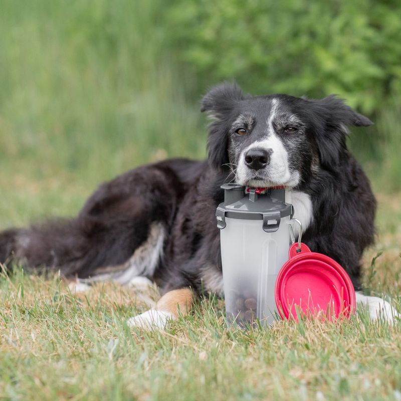 Trixie Food and Water Container 2 x 350ml, 11cm diameter x 23cm (H)