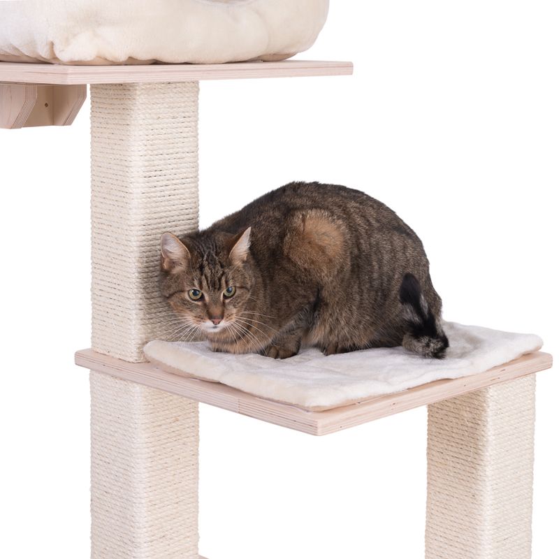 Natural Paradise Scratching Tree - Orchid Vanda L Cream