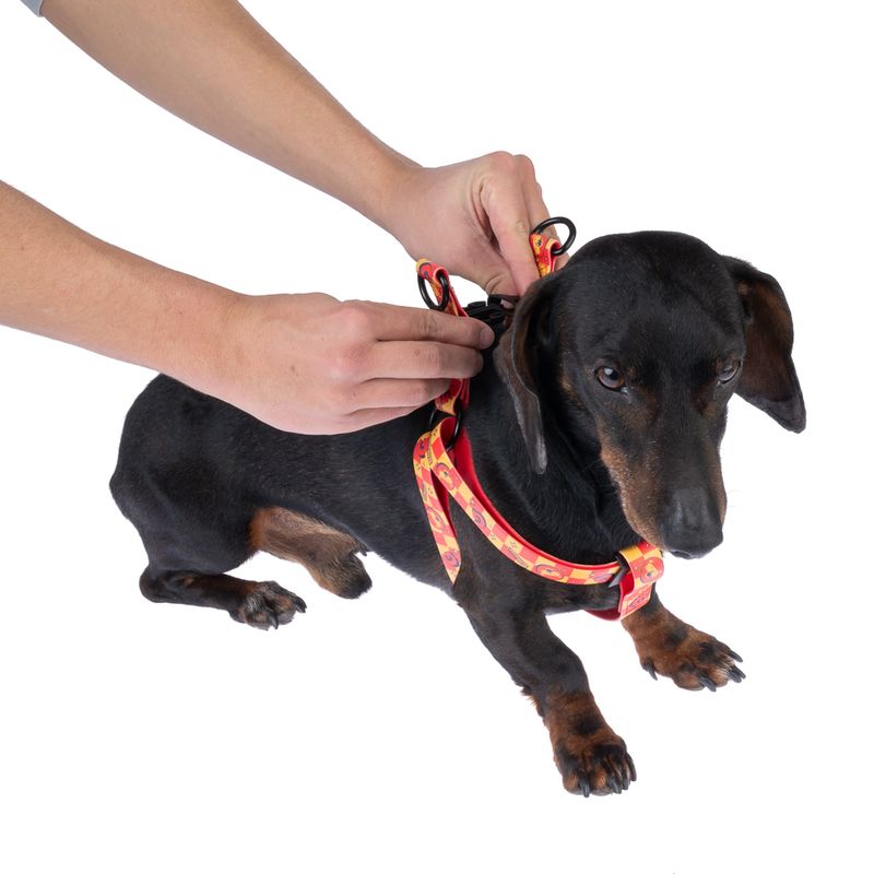 Harry Potter Gryffindor Harness Size S: Chest Circumference 39 - 51 cm