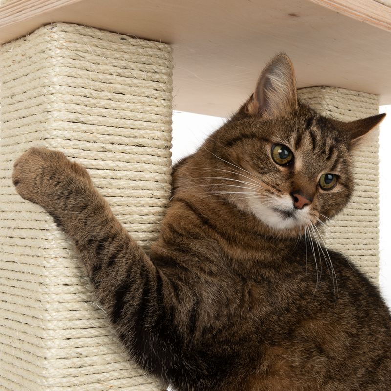 Natural Paradise Scratching Tree - Orchid L Cream