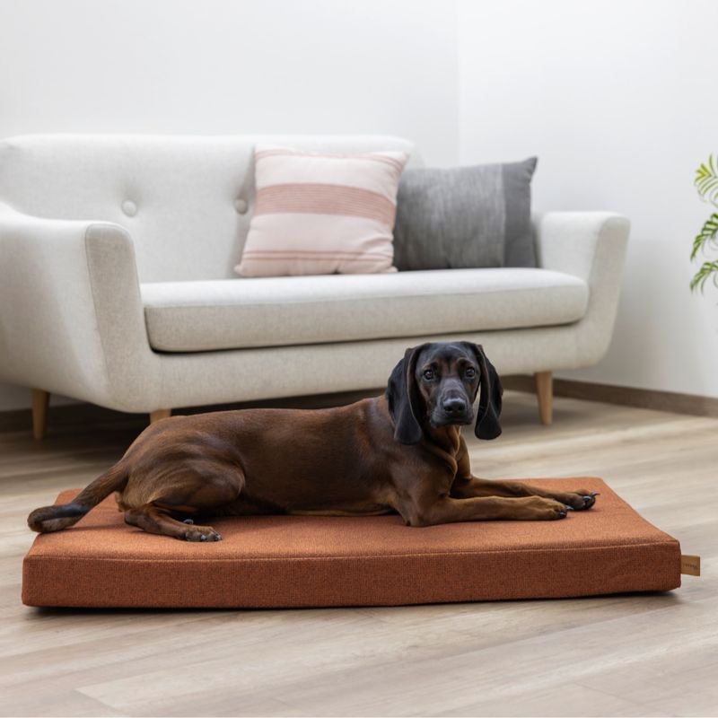 Kerbl Pet Memory Foam Mattress Oliver - Rust 50 x 80 x 8cm (L x W x H)