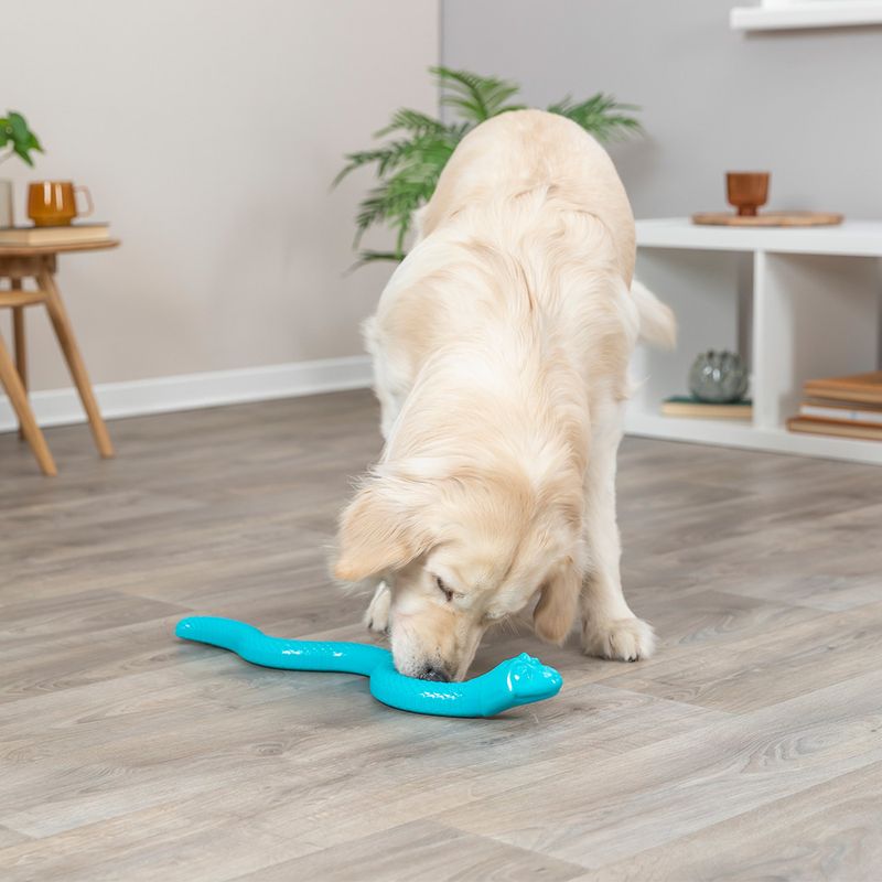 Trixie Snack-Snake Light Green: approx. 42cm (L)