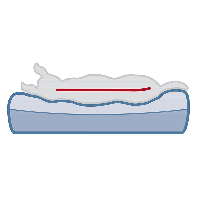 Trixie Vital Remo Dog Bed 90 x 70 x 15 cm (L x W x H)