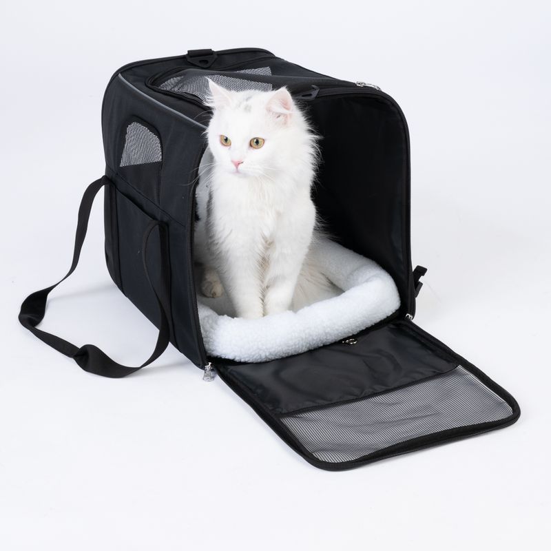 zooplus Basics Carry Bag Size S: 43.5 x 31 x 34 cm (L x W x H)