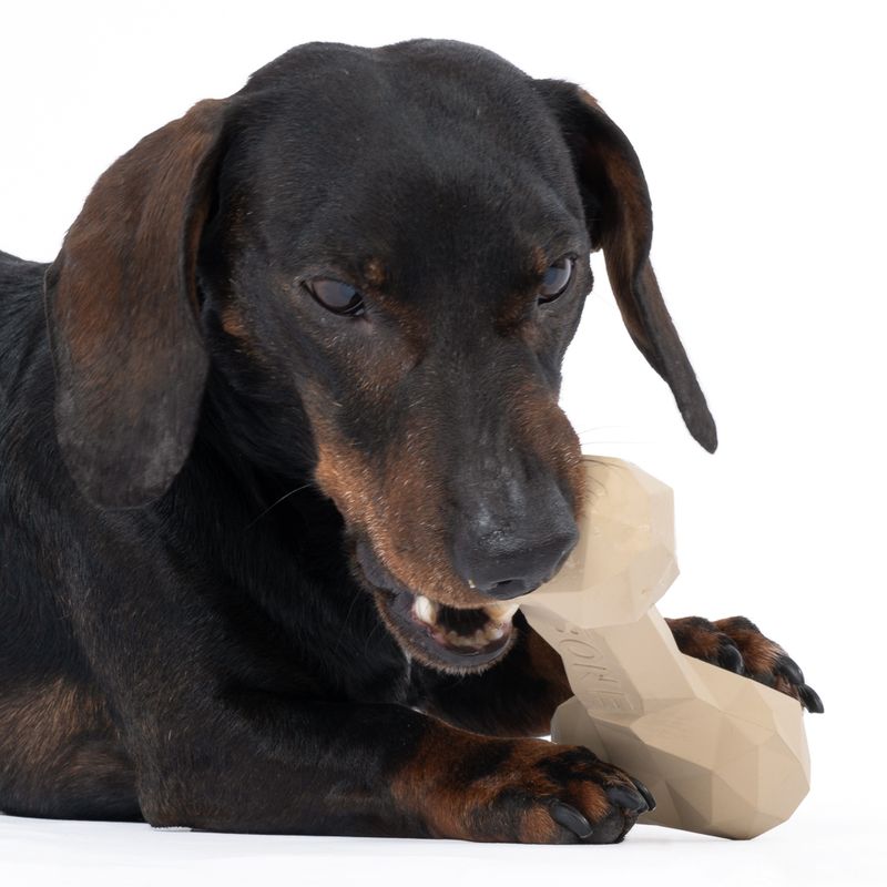 TIAKI Rubber Bone Dog Toy 16 x 7.5 x 4 cm