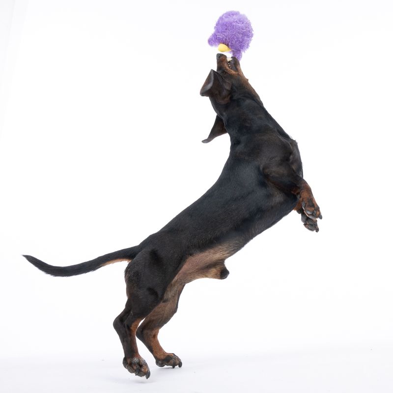 TIAKI Fluffy Ball Dog Toy approx. diameter 8.5cm