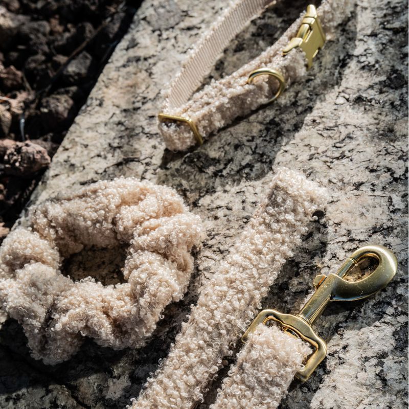 TIAKI Sherpa Collar, Lead & Scrunchie Large Size Collar: 42-66cm (Neck Circumference)