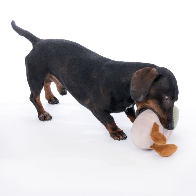 TIAKI Nature Cactus Pot Plush Dog Toy approx. 28 x 11 x 10 cm (L x W x H)