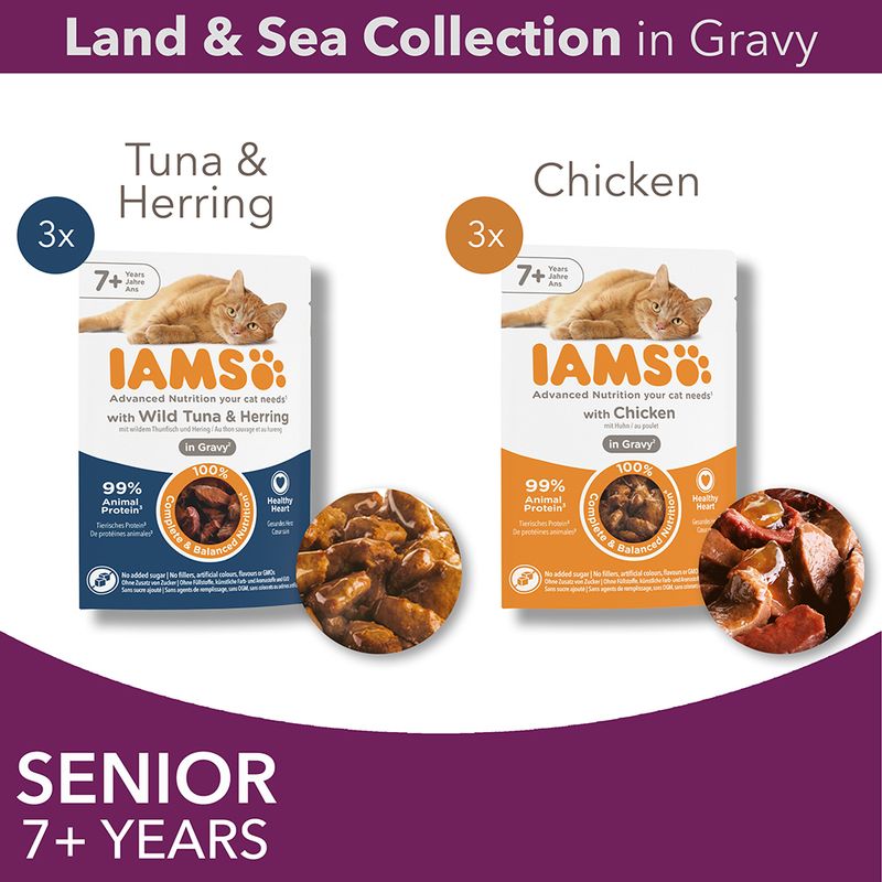 IAMS Delights Senior Land & Sea Collection in Gravy Mixed Pack 1 (12 x 85g, 2 Varieties)