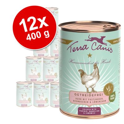 Terra Canis Grain-Free Saver Pack 12 x 400g Beef with Courgette, Squash & Oregano