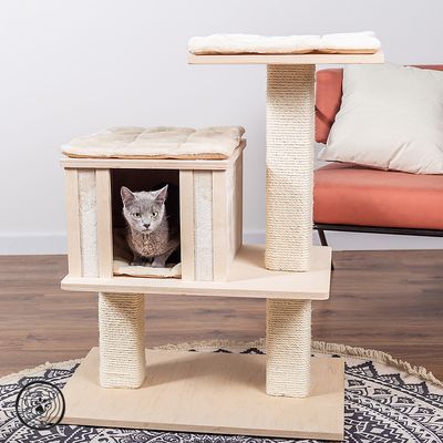 Natural Paradise Cat Tree Orchid Vanda S cream