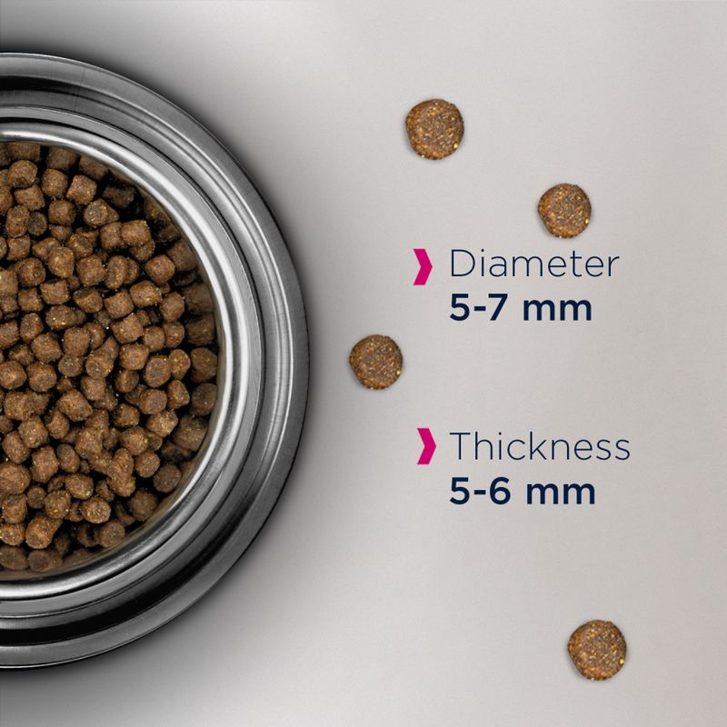 Eukanuba Healthy Start Kitten 2kg