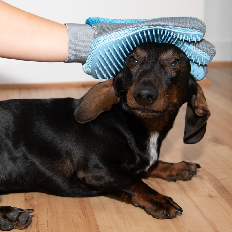 Grooming Glove 1 Glove