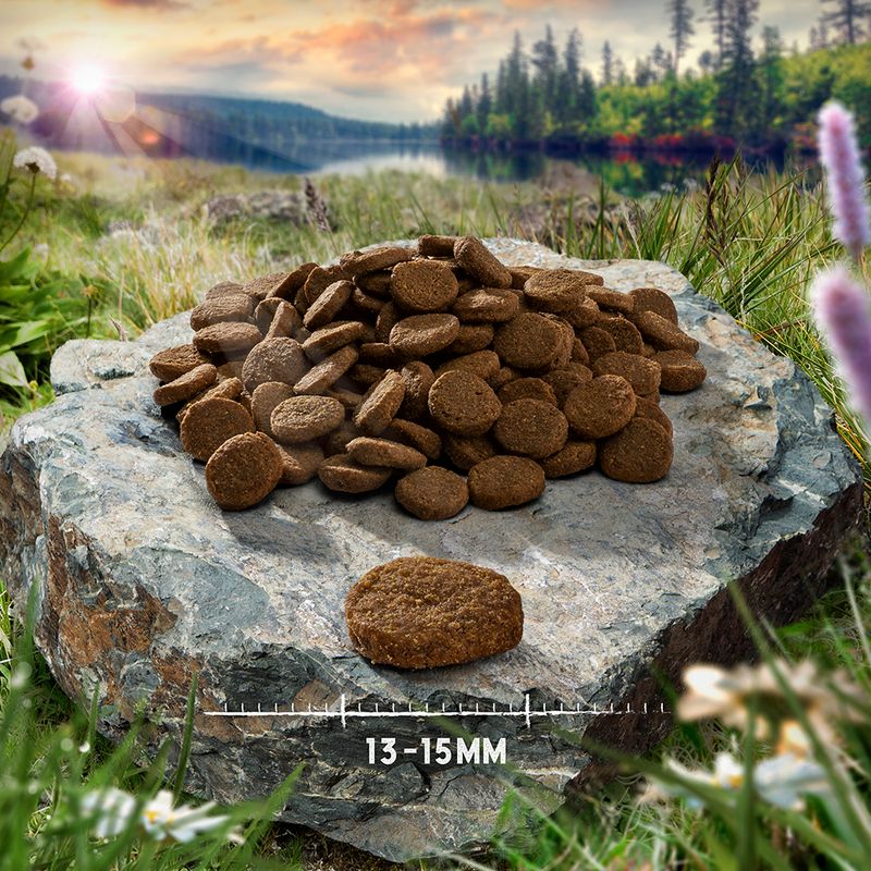 Purizon Single Meat Adult Dog – Grain-Free Duck with Lavender Blossoms 100g